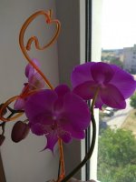 IMG_20190608_161848.jpg