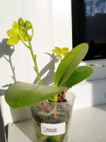 20210205_124731.jpg