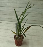 IMG_20210205_195944.jpg