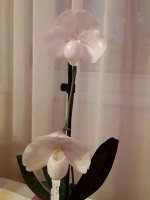 20210210_073251.jpg