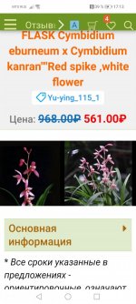 Screenshot_20210212_171319_com.huawei.browser.jpg