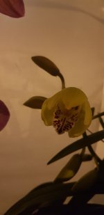 20210215_030419.jpg