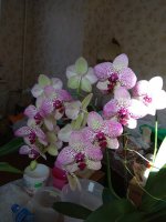 IMG_20210215_114424.jpg