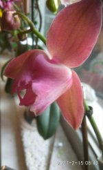 IMG_20210215_220045.jpg