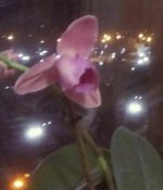 IMG_20210215_220248.jpg