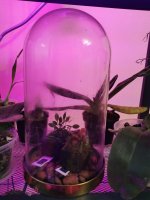 IMG_20210218_175732.jpg