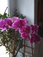 IMG_20210221_082558.jpg