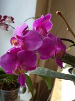 IMG_20210209_110346.jpg