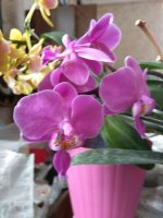 IMG_20210221_100136.jpg