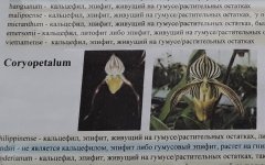 Screenshot_20210221-185401_Gallery.jpg