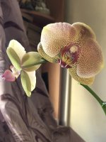 2BDDDB9E-0280-4AD3-9CCB-39C1DFC5E8A7.jpeg
