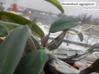 DSCN7955.JPG