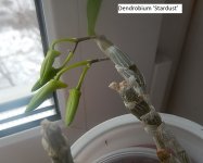 DSCN7956.JPG