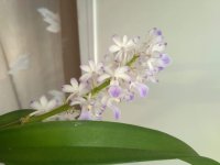 IMG_20210127_121925.jpg