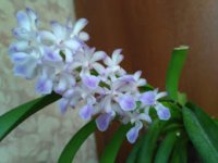 IMG_20210127_122054.jpg