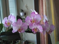 IMG_20210206_111201.jpg