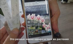 Screenshot_20210228-202445_YouTube.jpg