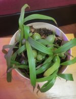 IMG_20210226_182624.jpg