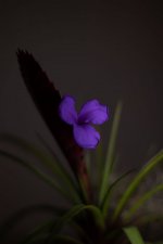 IMG_1139.jpg