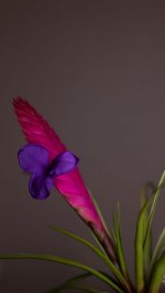IMG_1146.jpg