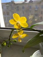 IMG_20210303_132817.jpg