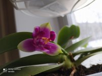 IMG_20210308_131917.jpg