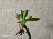 IMG_20210308_161104.jpg