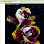 77A294AF-F0FE-4F99-B349-20C35C8C9D24.jpeg