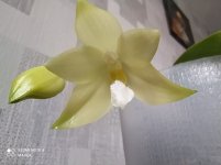 IMG_20210207_103101.jpg