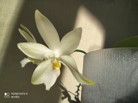 IMG_20210215_130611.jpg