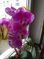 IMG_20210306_110037.jpg