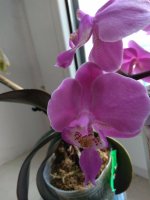 IMG_20210310_171901_BURST1.jpg