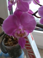 IMG_20210310_171957.jpg