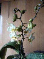 IMG_20210310_162446.jpg