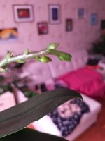 IMG20210310214603.jpg