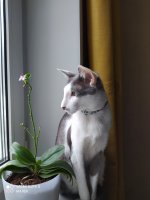 IMG_20210311_094524.jpg