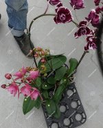 Untitled-1.jpg
