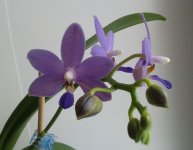 20120106_064720.jpg