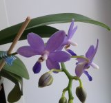 20120106_064726.jpg