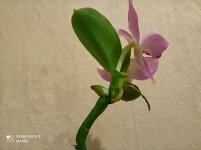 IMG_20210316_200533.jpg