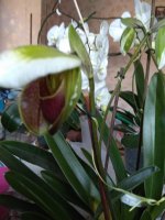 IMG_20210317_080415.jpg
