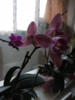 IMG_20210317_134830.jpg