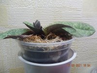 DSCN7968.JPG
