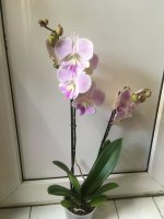 15F86756-FAEF-49AC-BC7A-B1478BF4B4F0.jpeg