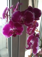 IMG_20210317_135013.jpg