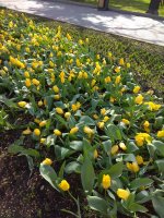 IMG_20210319_155257.jpg