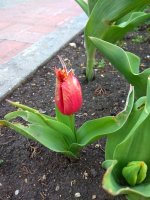 IMG_20210319_155634.jpg