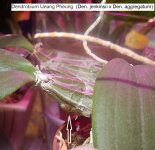 DSCN7972.JPG