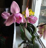 IMG_20210320_170742.jpg