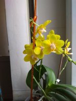 IMG_20210321_112219.jpg